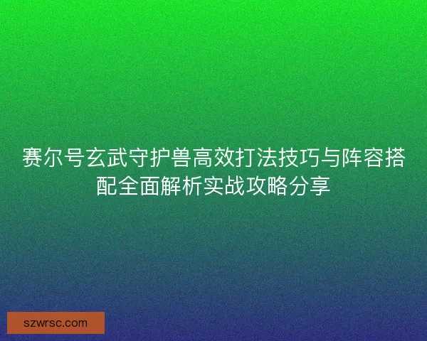 赛尔号玄武守护兽高效打法技巧与阵容搭配全面解析实战攻略分享