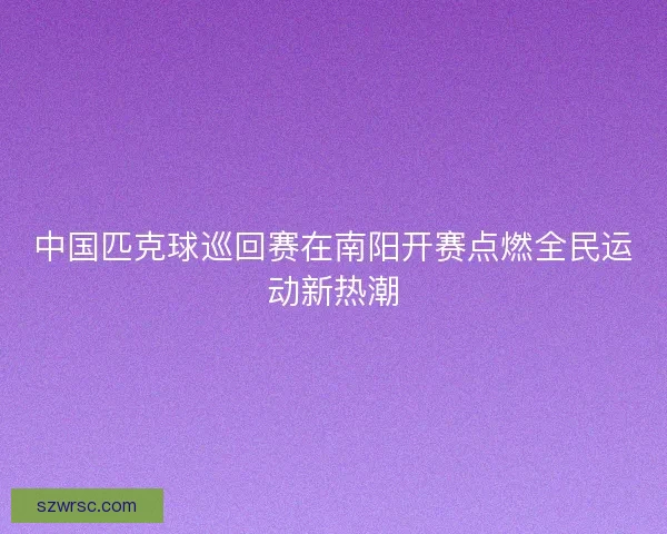 中国匹克球巡回赛在南阳开赛点燃全民运动新热潮