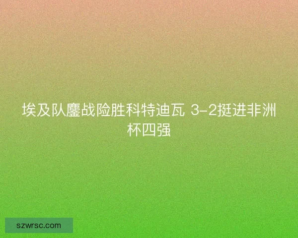 埃及队鏖战险胜科特迪瓦 3-2挺进非洲杯四强
