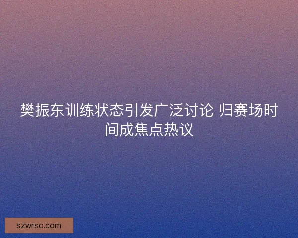 樊振东训练状态引发广泛讨论 归赛场时间成焦点热议